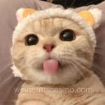 Avatar Roxana Ruelas